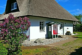 Möwennest