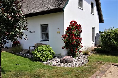 Lotsenhof 5 star home (DTV)