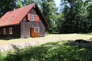 Dachsbau