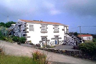 Casa Bleu