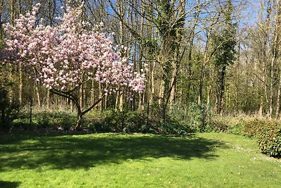 Sommerhaus Zoutelande & Strandhaus
