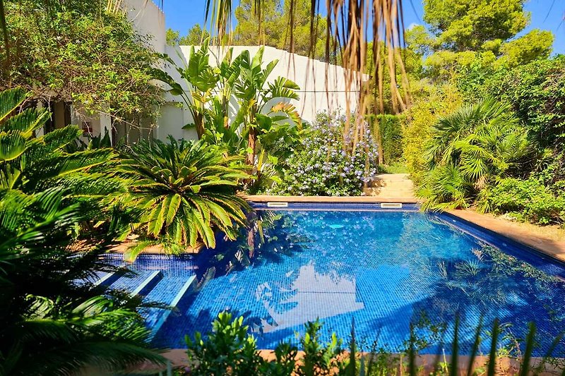 Villa AZUL Schwimmbad mit Palmen und grüner Landschaft. Entspannen Sie sich in der Natur.