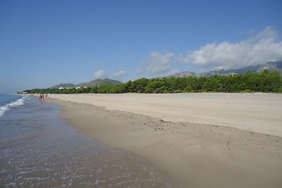 The LODSH beachapartment