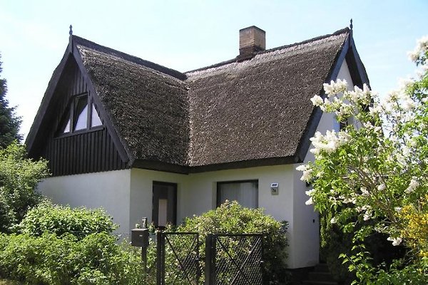 Frau K. Röther Frau K. Röther