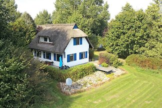 Haus-Zauberblau
