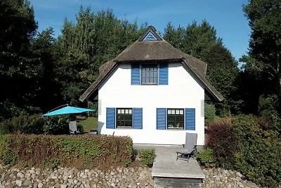 Haus-Zauberblau