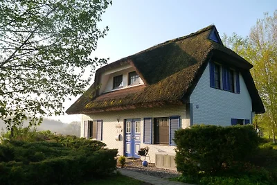 Haus-Zauberblau