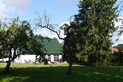 Haus-Himmelgrau