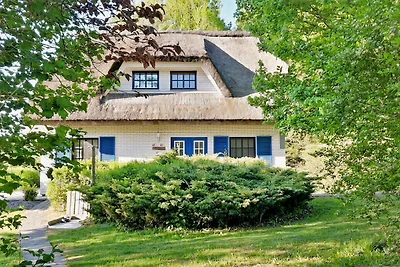 Haus-Zauberblau