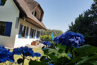 Haus-Zauberblau