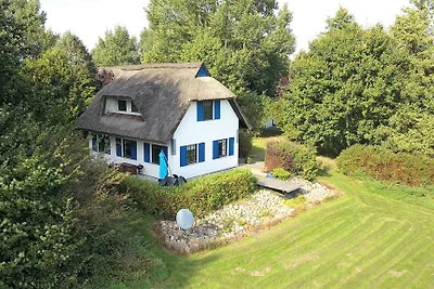 Haus-Zauberblau