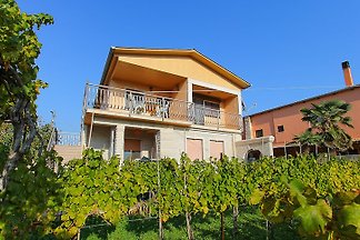 Appartamento 366-5