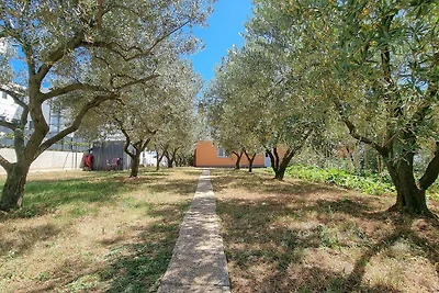 Appartamento Vacanza con famiglia Cittanova