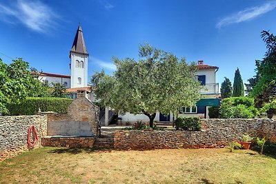 Edera piatta