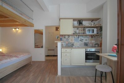 Vakantieappartement Gezinsvakantie Novigrad