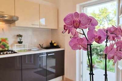 Apartment Bosko