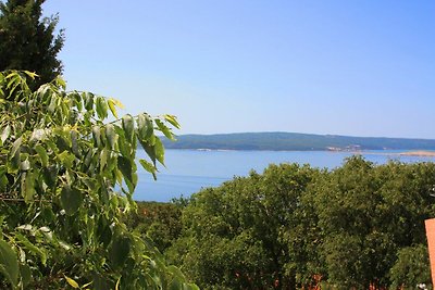 Vakantieappartement Gezinsvakantie Crikvenica