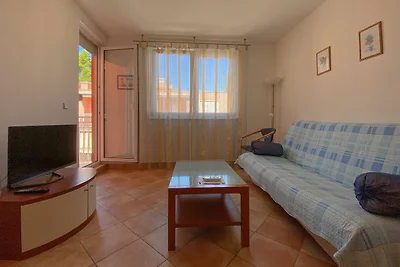 Apartment Senka