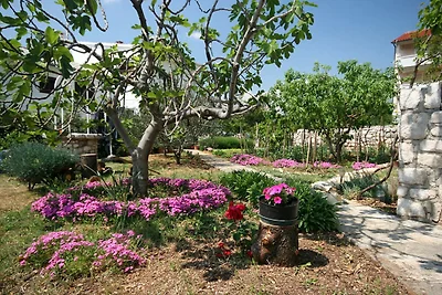 Appartamento Vacanza con famiglia Baska