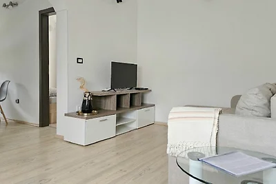 Apartment Vili
