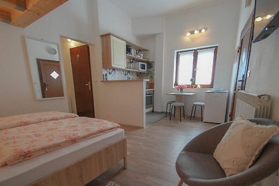 Vakantieappartement Gezinsvakantie Novigrad