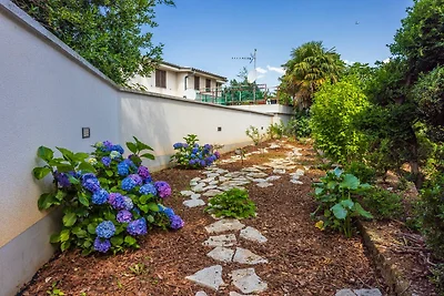 Apartment Garden View