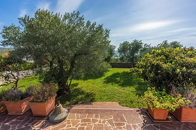 Villa Olive Tree