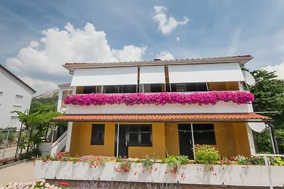 Ferienwohnung Surfinia