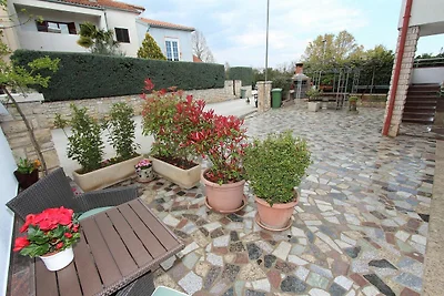 Apartment Divna