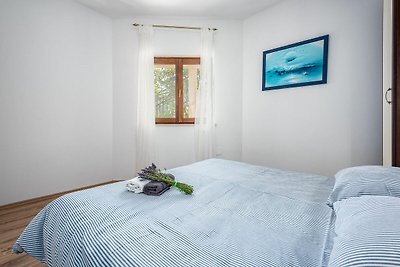 Casa Drenje 1