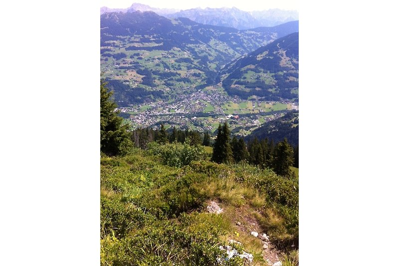 Berglandschaft mit grüner Wiese und majestätischen Bäumen. Entspannung in den Alpen.