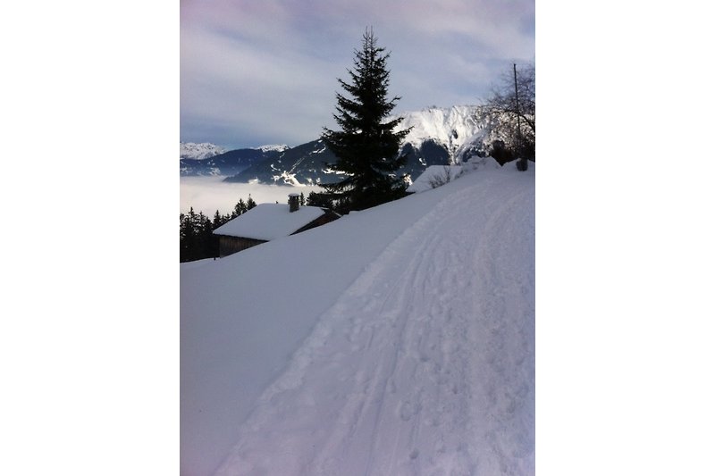 Schneebedeckte Berge und ein Winterwunderland. Erleben Sie die Schönheit der Alpen.