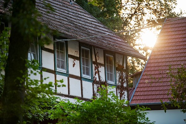 Ferienhaus Thundorf