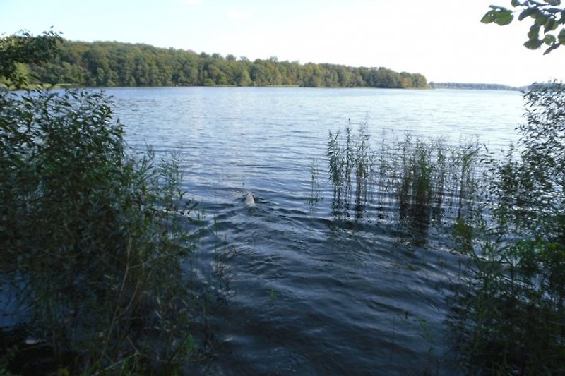 En el lago Tiefwaren también hay algunas zonas de baño.