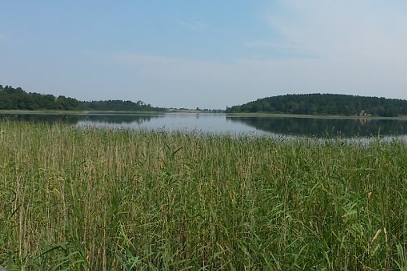 I mnóstwo natury, wody i spokoju, tutaj nad jeziorem Feißnecksee.