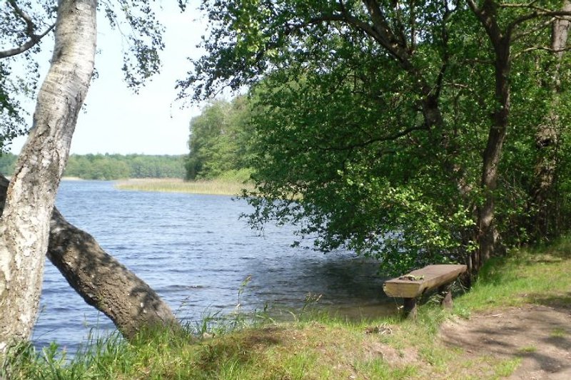 Eine der möglichen Badestellen am Krakower See, auf dem Weg zum Fritz-Reuter-Stein