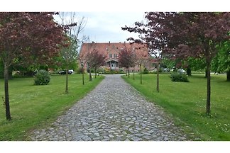 Domek letniskowy Ferienhaus Fam.Herrmann