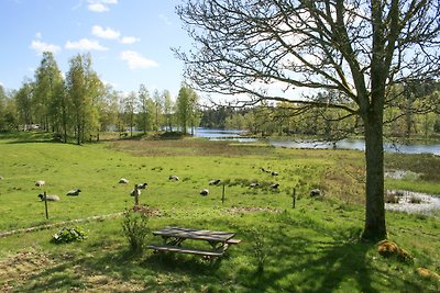 Švedska-s-pogledom na jezero