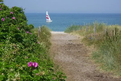 Dat-Fischlandhus