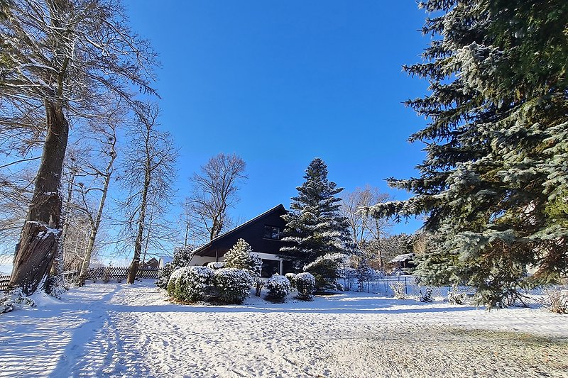 Verschneite Hütte umgeben von winterlichen Bäumen und Ästen.