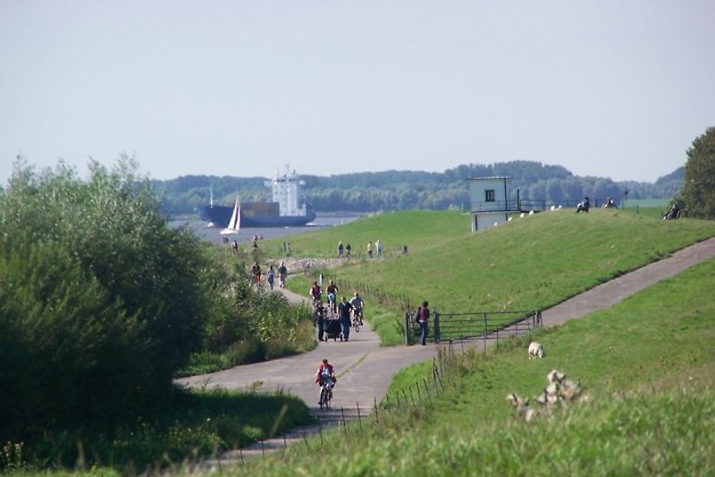 Elbe-Deich