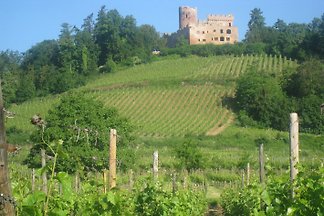 les Gites du Relais des Vignes