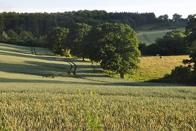 Kirchmühl Manor, Appartamento Waldblick