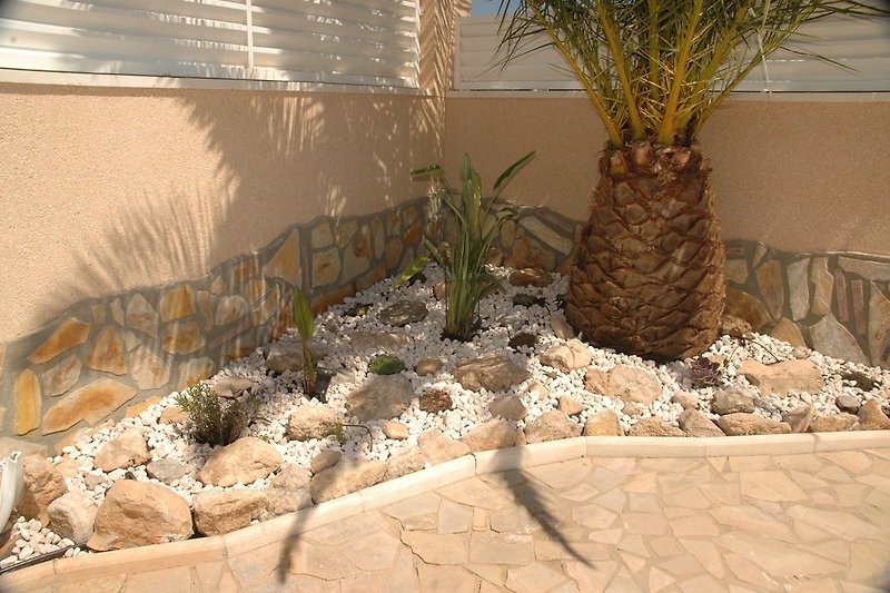 Stone bed Palm