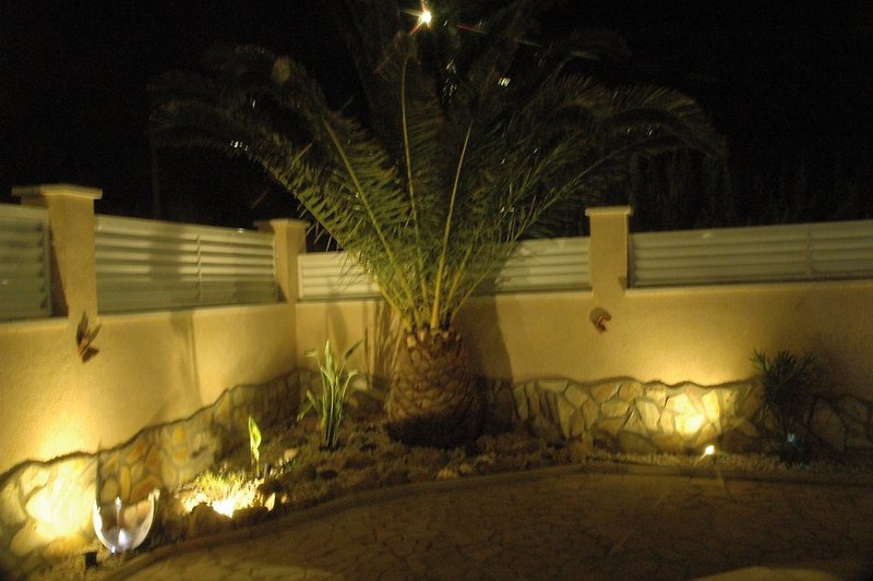 Palme bei Nacht