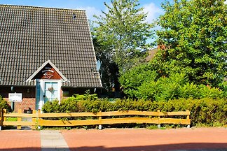 Ferienhaus Ostsee-Robbe