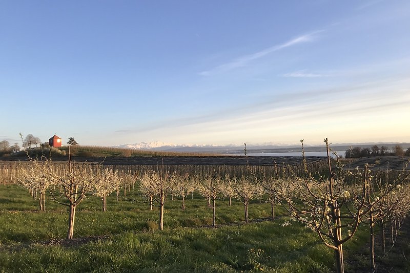 Schöne ländliche Landschaft mit grünen Wiesen und Hügeln.