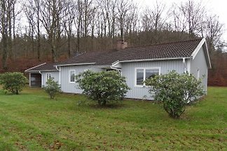 Ferienhaus Mäshult am See
