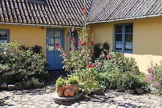 BIRKELUND - Wohnung für 2 Personen
