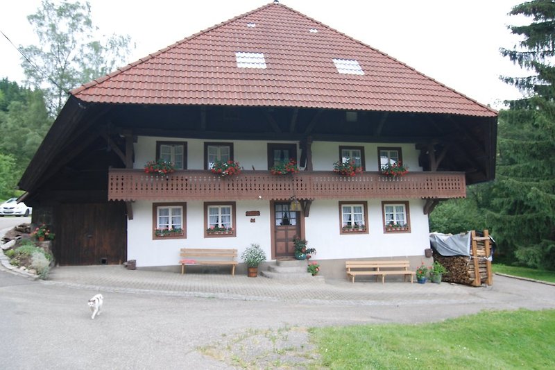 Balkon Fewo